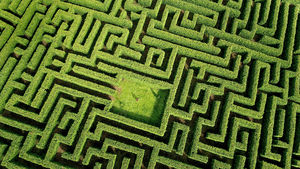 The Maze of Medicare in green